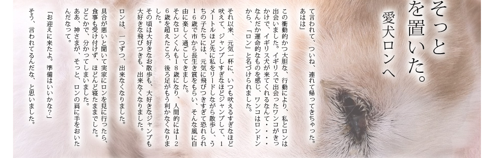 あいのひろ学園